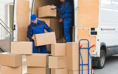 Top Packers Movers